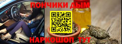 индика Мариинск
