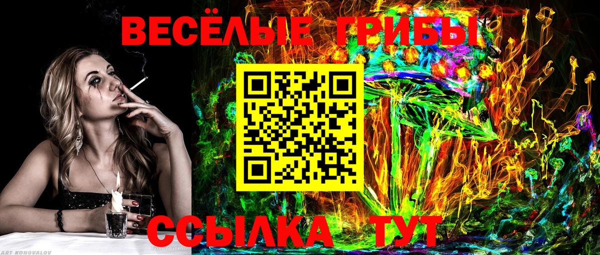 Шали  Псилоцибиновые грибы ЛСД  Вход с VPN 